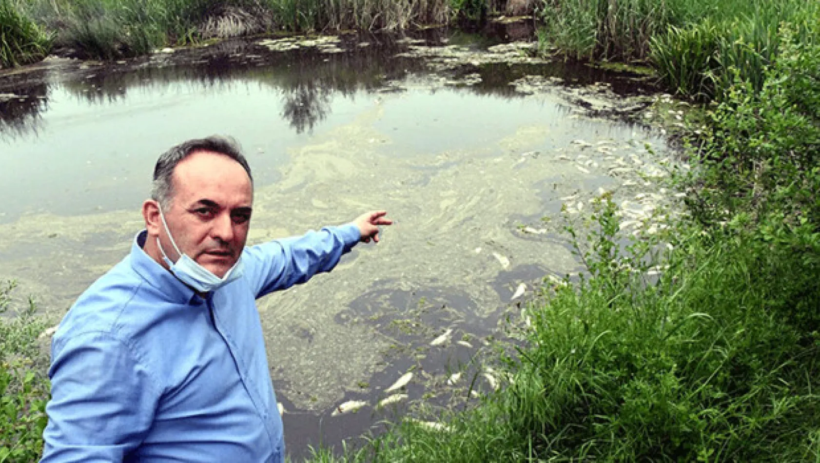 Balık Ölümlerinin Nedeni Oksijensizlik