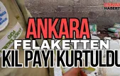 Ankaralı'yı Allah Korumuş! 40 Ton Bozuk Gıda Ele Geçirildi