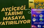 Ayçiçeği Tarımının Geleceği Hayrabolu'da Masaya Yatırılacak