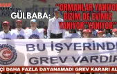 İlk Grev Kararı Öz Büro İş'den Geldi. 'Ormanlar Yanıyor, Bizim de Evimiz Yanıyor'