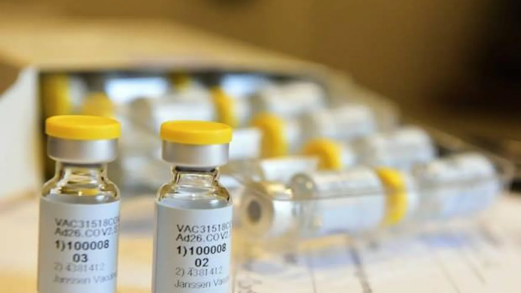 ABD'deki aşı çalışması durduruldu