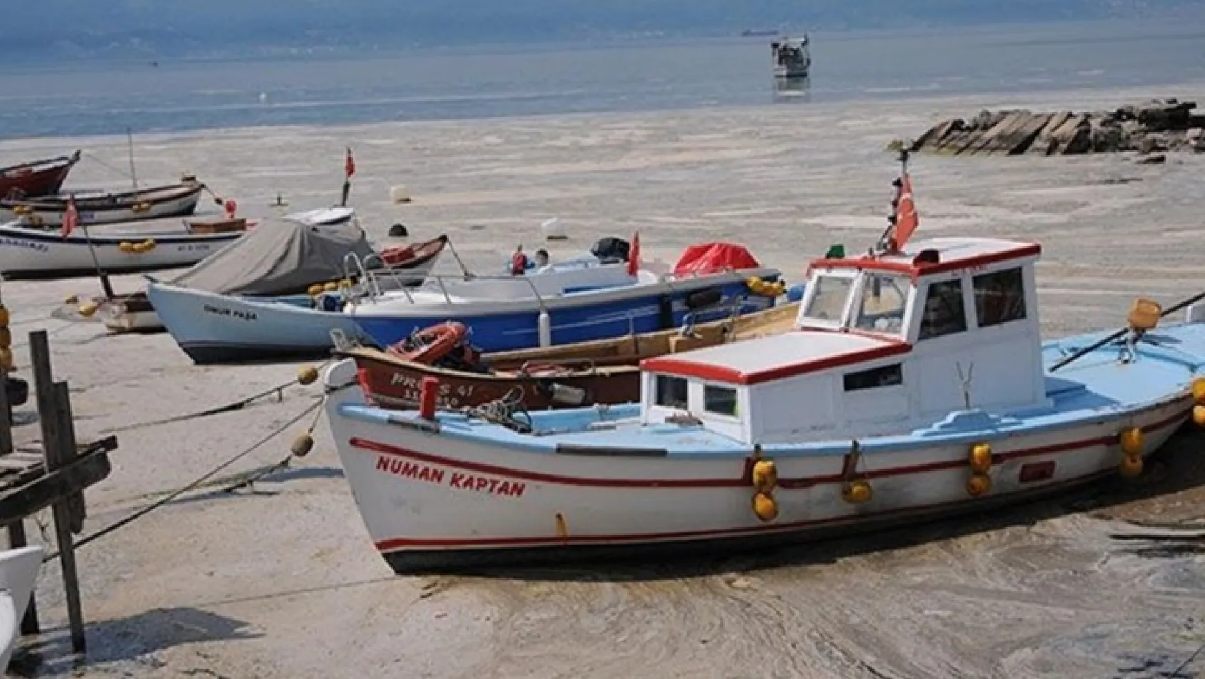 Balıkçılara 8,2 milyon liralık müsilaj destek ödemesi bu hafta yapılacak