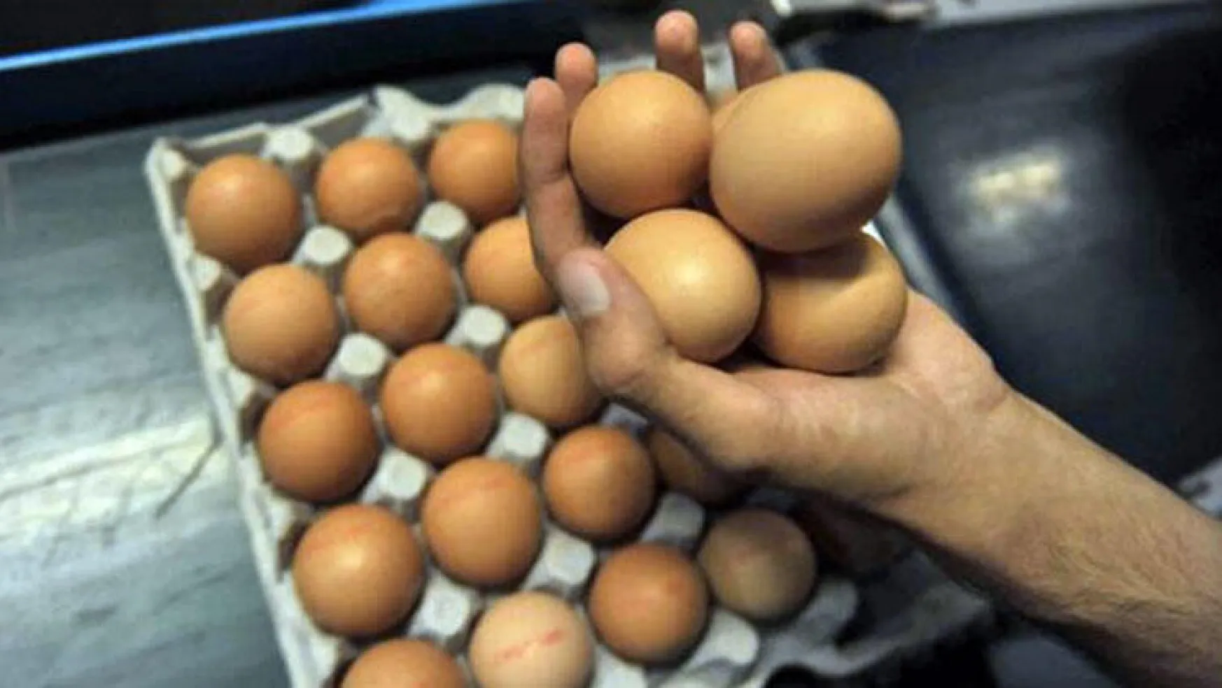 Belçika'da Yumurta Skandalı
