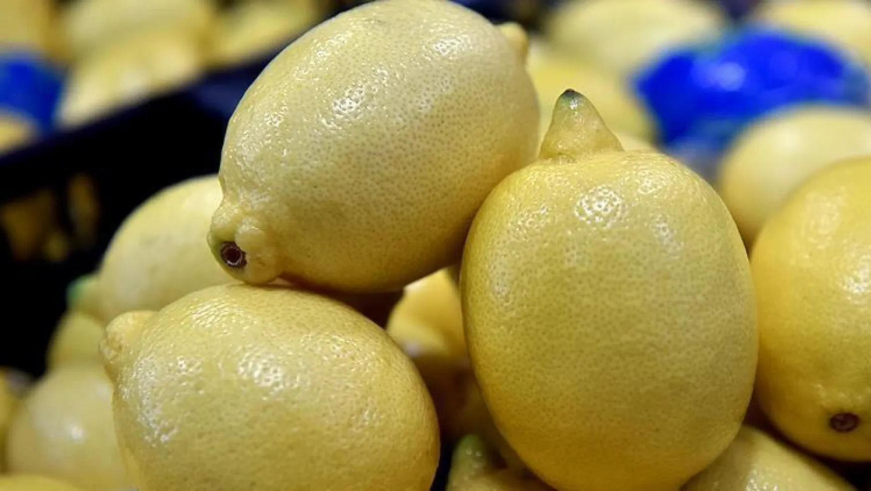 İzinsiz Limon İhracatı Yasaklandı