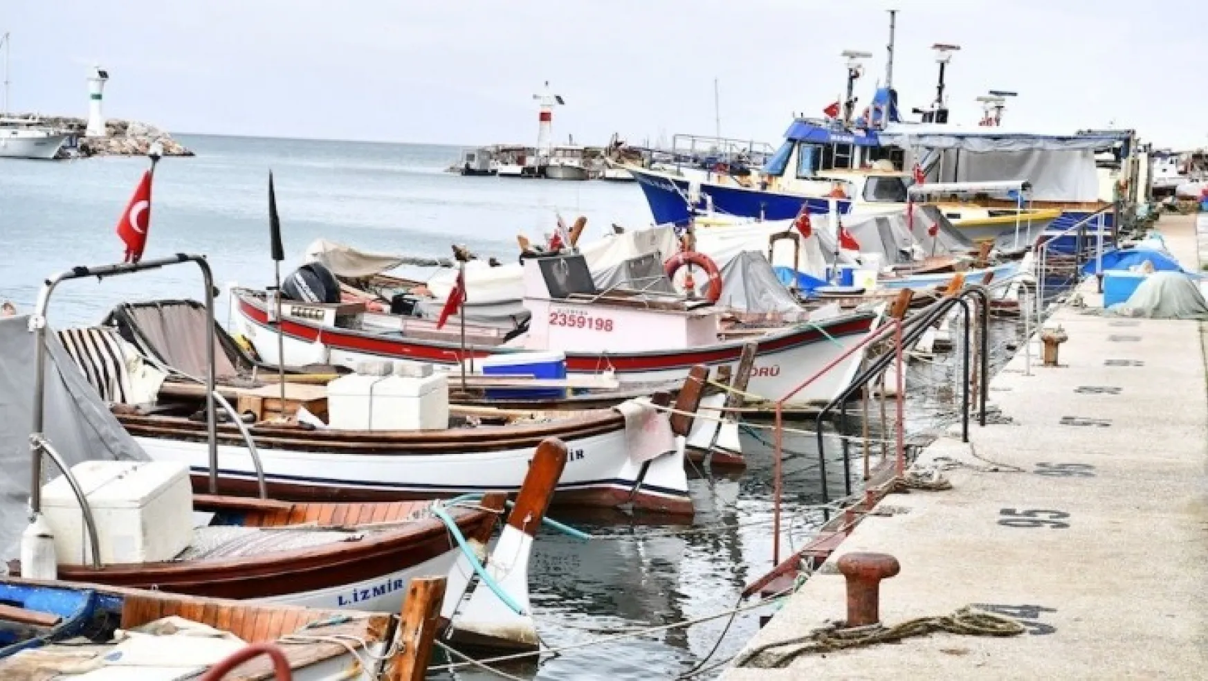 İzmir'de küçük ölçekli balıkçılara destek
