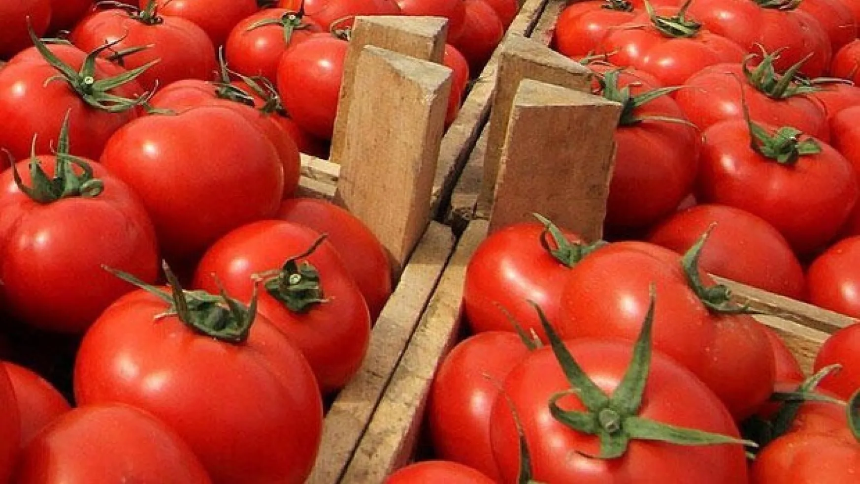 Rusya domates kotasını 50 bin ton arttırdı