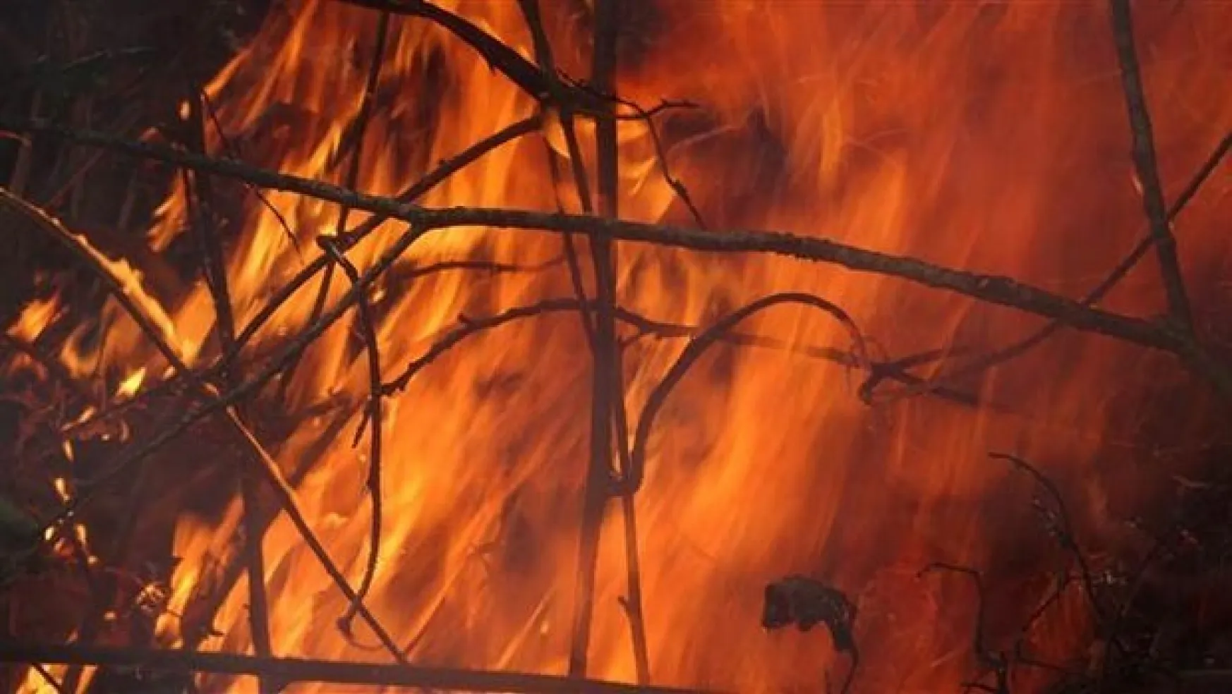 Trabzon'da 55 orman yangınından 38'i söndürüldü