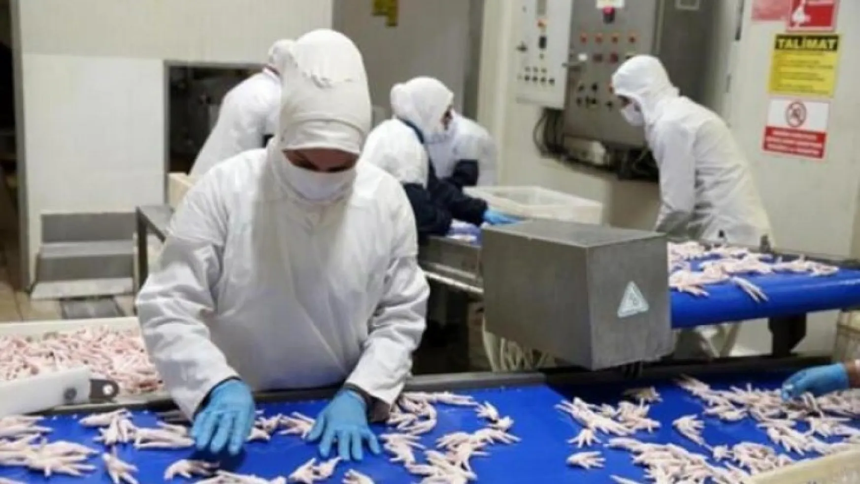 Uşak'tan Çin'e 10 milyon dolarlık tavuk ayağı ihracatı