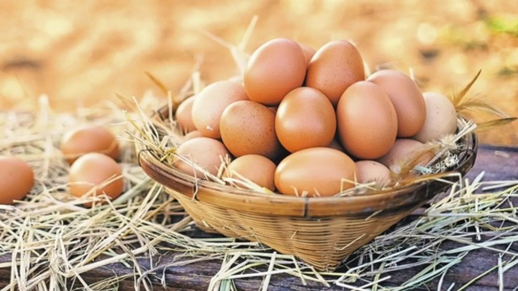 Yumurtacılar Yeni Pazarlara Yöneldi