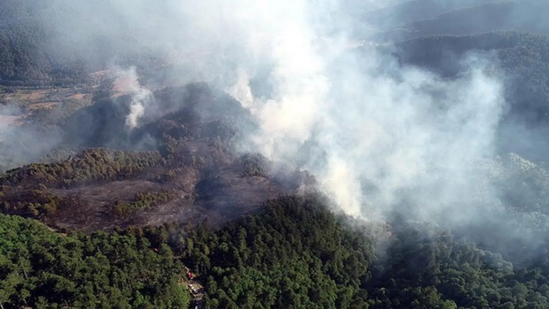Zonguldak'ta ormanlık alanda büyük çaplı yangın