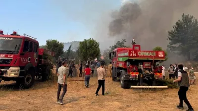 Çanakkale'deki orman yangını kontrol altına alındı: 4 şüpheli gözaltında