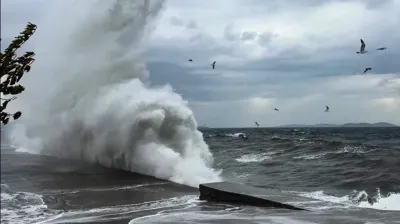 İDO ve BUDO seferleri iptal edildi