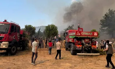 Çanakkale'deki orman yangını kontrol altına alındı: 4 şüpheli gözaltında