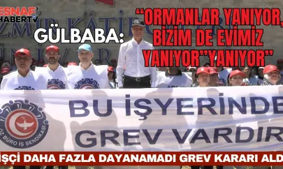 İlk Grev Kararı Öz Büro İş'den Geldi. 'Ormanlar Yanıyor, Bizim de Evimiz Yanıyor'