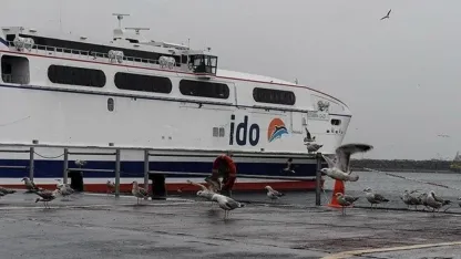 Deniz taşımacılığına hava muhalefeti