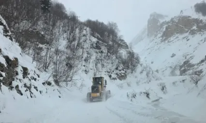 Artvin'de çığ düştü: Üç çoban aranıyor