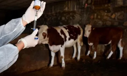 Bakanlıktan şap raporuna tepki