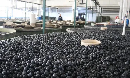 Marmarabirlik Zeytincilerin Yüzünü Güldürdü