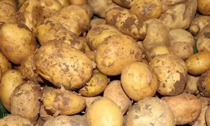 Ticaret Bakanlığından patates fiyatı açıklaması