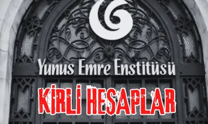Yunus Emre Enstitüsü'ne Yönelik İddialarının Hedefi Kim ?
