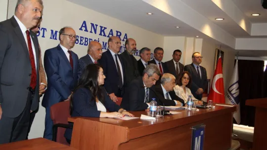 Mali Müşavir, Muhasebeciye Yeşil Pasaport