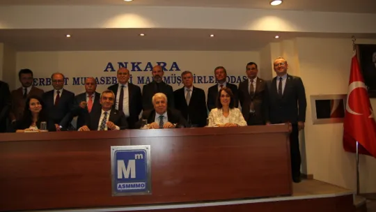 Mali Müşavir, Muhasebeciye Yeşil Pasaport