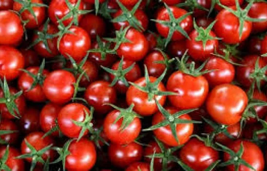 Domatese Hasret Kalacağız