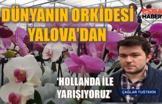 Dünyaya Orkide Satıyoruz