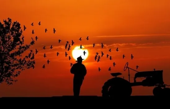 Esnaf 40 yıldır bu kadar dert yanmamıştı