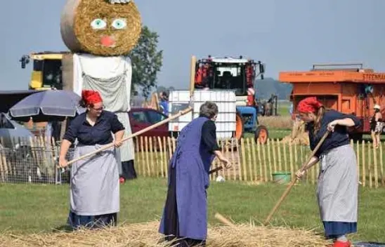 İş dünyası ve kadın:Mobbing, düşük ücret, uzun çalışma süresi