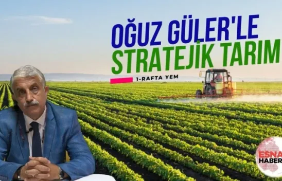 Ucuza Yem Bekleyen Çiftçiye Müjde Var !