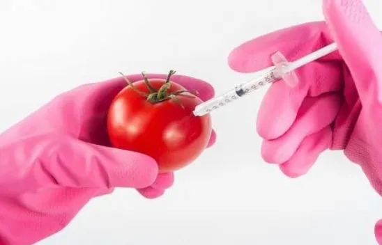 Yemin yüzde 45'i ithal, GDO'lu ithal ürün adedi 39 