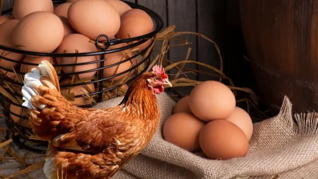 Almanya kahverengi yumurtadan vazgeçti