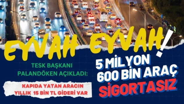 Arkanızı Kollayın ... Aman Otomobil Çarpmasın !