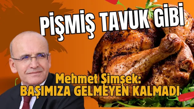 Bakan Şimşek: 'Bu Sene Başımıza Gelmeyen Kalmadı'