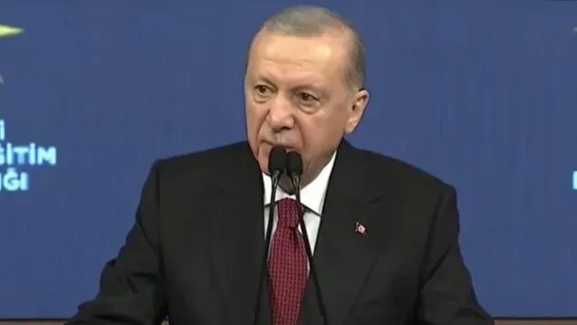 Erdoğan: Silah bırakma sürecini MİT izleyecek