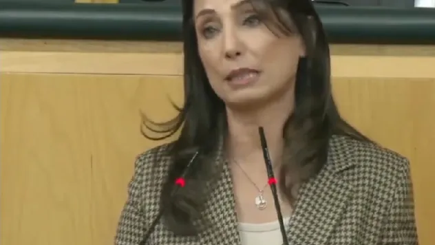 Hatimoğulları:  Devletin gittiği yere siyaset neden gitmesin?