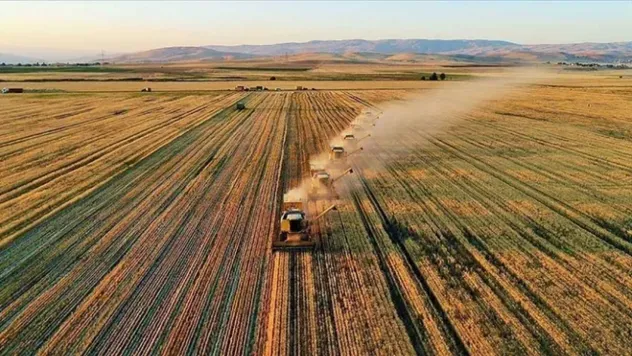 İşlenmeyen tarım arazileri kiraya verilecek