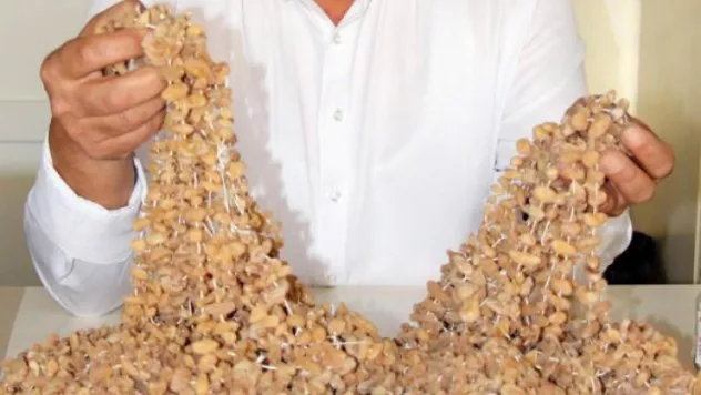 Kilosu 1500 liradan satılıyor