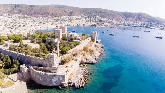 Sülün Osmanlar Bodrum'da Boy Gösterdi