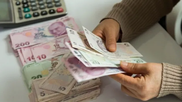 Torba Yasa Ne Getiriyor?