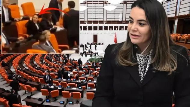 Türkeş'in kızının sözleri Meclis'i karıştırdı
