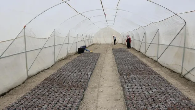 Yozgat'ta 6 Çeşit Patates Ekildi