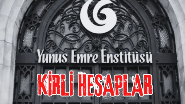 Yunus Emre Enstitüsü'ne Yönelik İddialarının Hedefi Kim ?