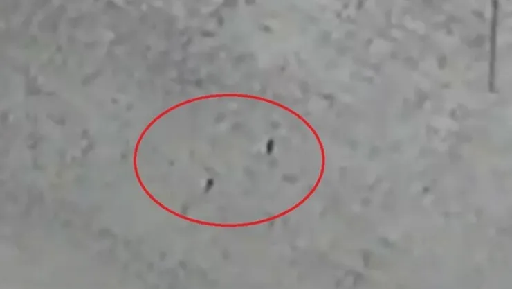 11 terörist etkisiz hale getirildi