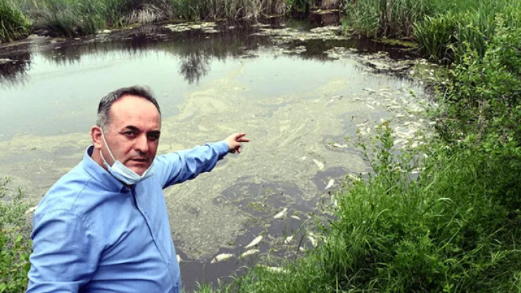 Balık Ölümlerinin Nedeni Oksijensizlik