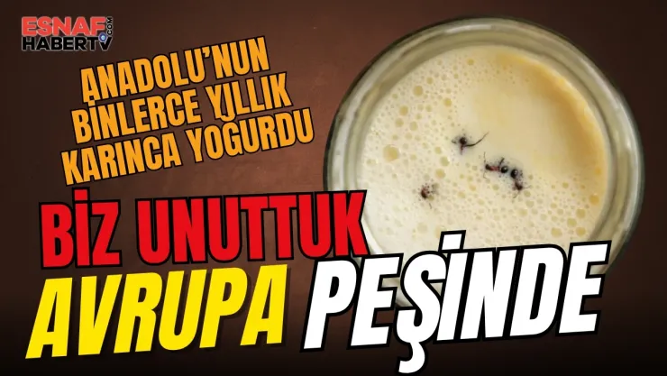 Biz Unuttuk...Michelin Yıldızlı Şefler 'Karınca Yoğurdu'nun Peşinde