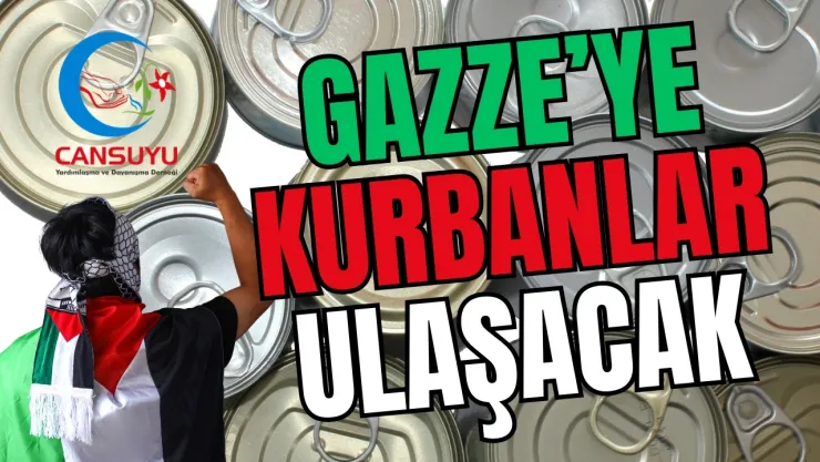 Cansuyu'nun Türkiye'de Değil, Tüm Dünyada Büyük Bir İtibarı Var