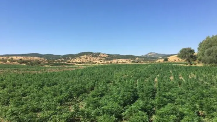 Diyarbakır'da rekor uyuşturucu ele geçti