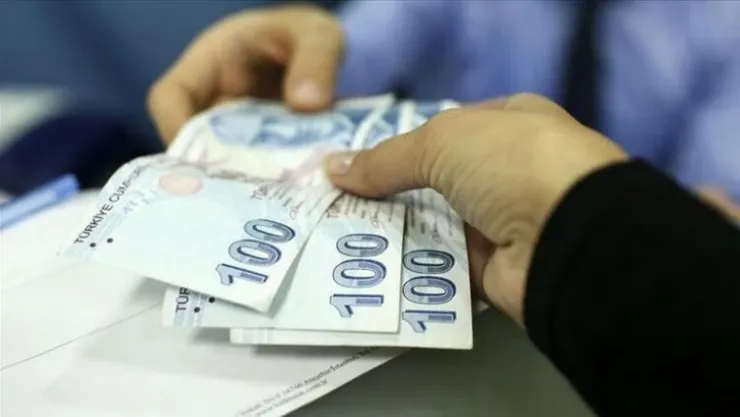 Hibe Desteği Başvurusu Kimlik Numarasına Göre Yapılacak